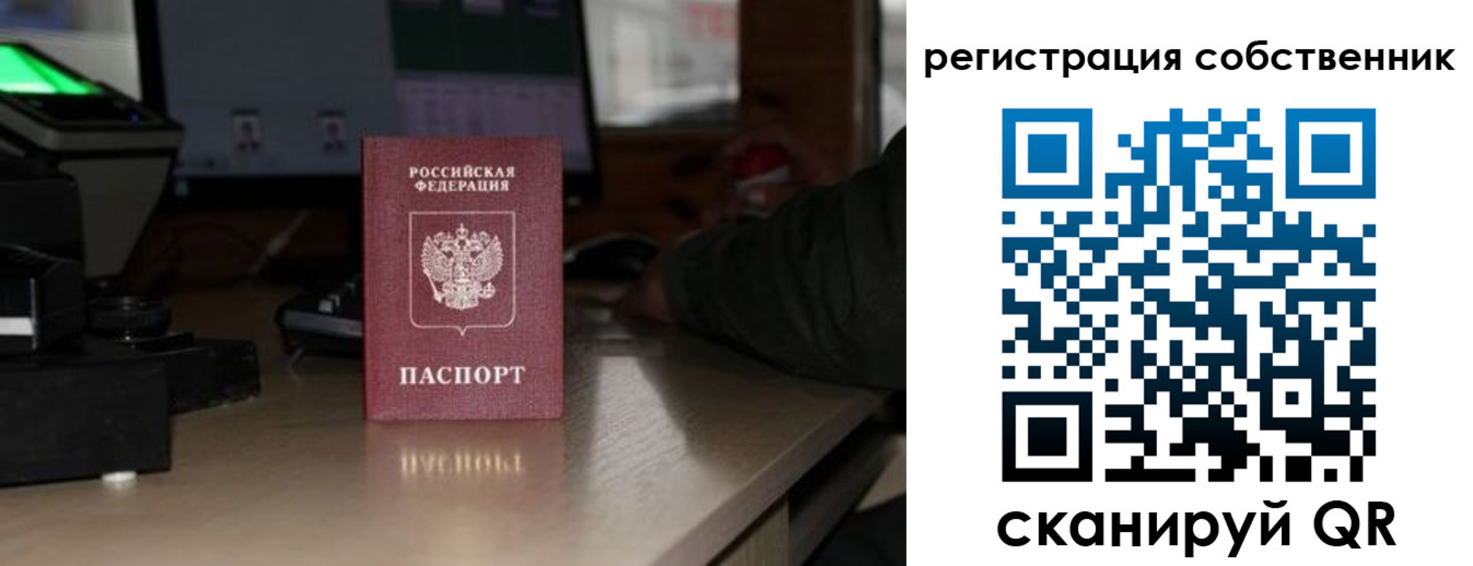 прописка поиск в Люберцах